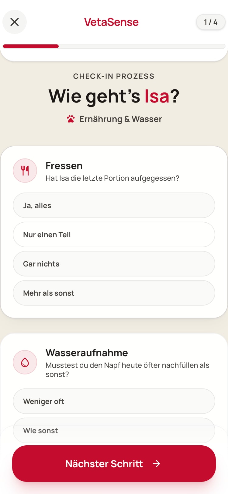 Tagescheck für Isa mit Beispieldaten